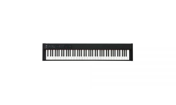 KORG｜D1 88鍵 便攜式電鋼琴 含譜架、踏板 (黑色)