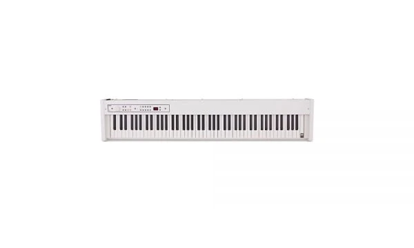KORG｜D1 88鍵 便攜式電鋼琴 含譜架、踏板 (白色)