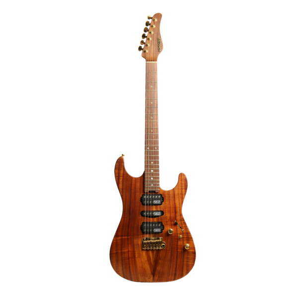 Schecter｜Japan Custom Shop EX-5B-CTM/VTR 原木色 電吉他